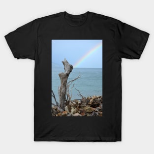 Searching for a Rainbow T-Shirt